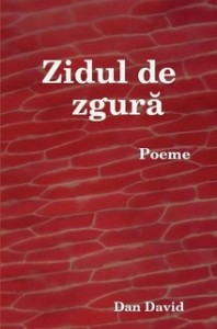 Zidul de zgura coperta fata