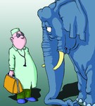 Medicul veterinar R