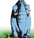 Soricel elefant R