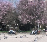 tmpphpqMteXD