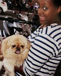 Me and my pet (3)R