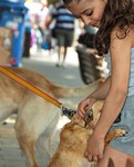 Me and my pet (6)R