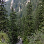 HPIM1974.JPG Verde de fagaras, vara
