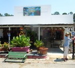 Checking the Mail in Old Edisto-R