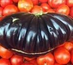 DSCF8118-R
