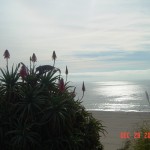 Pacific Ocean in December