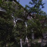 Tokes Anna curtea umbroasa a casei
