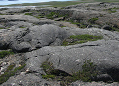 În Canada se găsesc cele mai vechi roci din lume