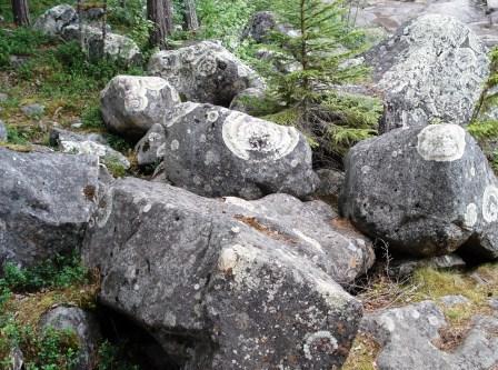 Minirezervatie langa Storforsen, cascada pe Piteälven