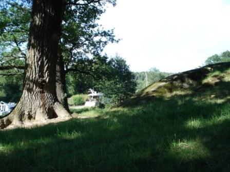 Mini rezervatie in pe marginea canalului Göta. Arborii seculari sunt lasati pe loc atunci cand se prabusesc la pamant.