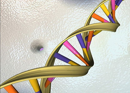 Descifrarea genomului uman a rezervat nenumărate surprize