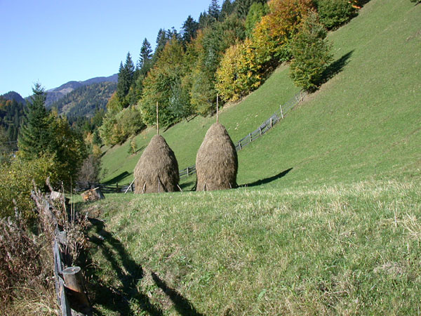 Borsa, Romania, octombrie 2005. In drum spre Cascada Cailor. O zi splendida de toamna tarzie.